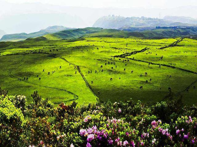 涼都六盤水,詩(shī)意大草原‖子昀:《烏蒙大草原,令人向往的地方》