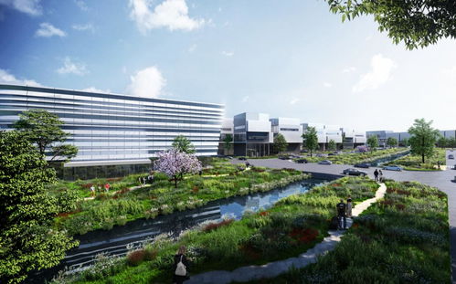 食品超級(jí)工廠 橡膠黃金 總投資245億元,一批重大產(chǎn)業(yè)項(xiàng)目落地金山