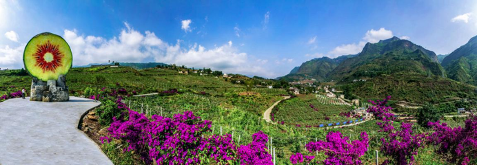 六盤水市水城區(qū):&ldquo;五型&rdquo;村居固成果 鄉(xiāng)村振興開新局