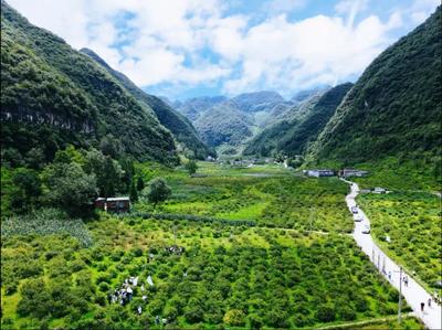 六盤(pán)水市產(chǎn)業(yè)轉(zhuǎn)型升級(jí)示范區(qū)2項(xiàng)經(jīng)驗(yàn)在全國(guó)推廣并獲通報(bào)表?yè)P(yáng)