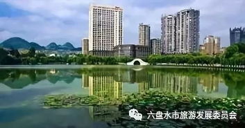 風(fēng)格迥異的六盤水橋梁,你走過幾個(gè)