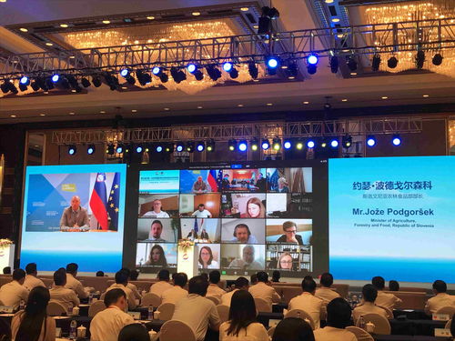 海關(guān)總署 中國對中東歐國家進(jìn)出口貿(mào)易持續(xù)穩(wěn)定增長