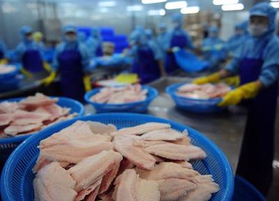 我國(guó)農(nóng)產(chǎn)品出口穩(wěn)步增長(zhǎng)